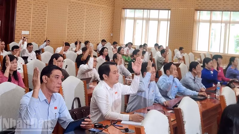 Delegates vote to adopt the resolution. (Photo: QUOC TRINH)