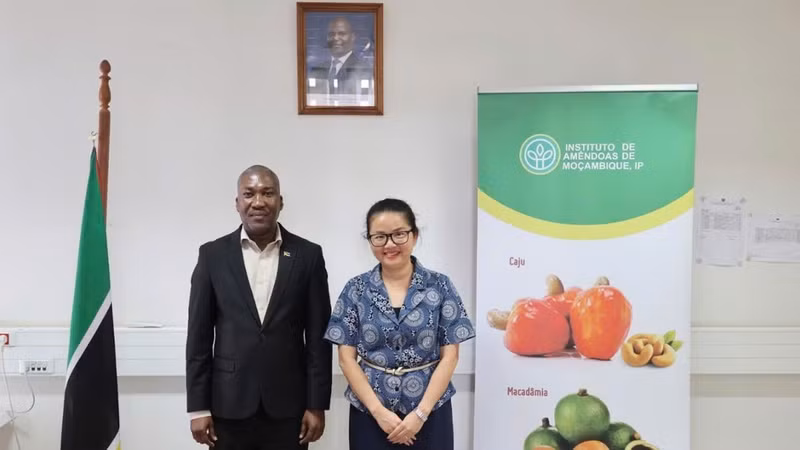 Ambassador Tran Thi Thu Thin and Jorge Vidigal Fole, Director of the Mozambique Cashew Institute. (Photo: Embassy of Viet Nam in Mozambique)