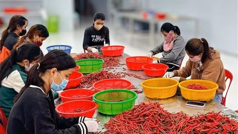 Workers have seen a significant increase in income in recent times. (Photo: HNV)