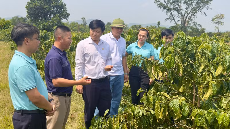 Agribank credit officers speak with Tran Van Than (in the hat) about his integrated production model.