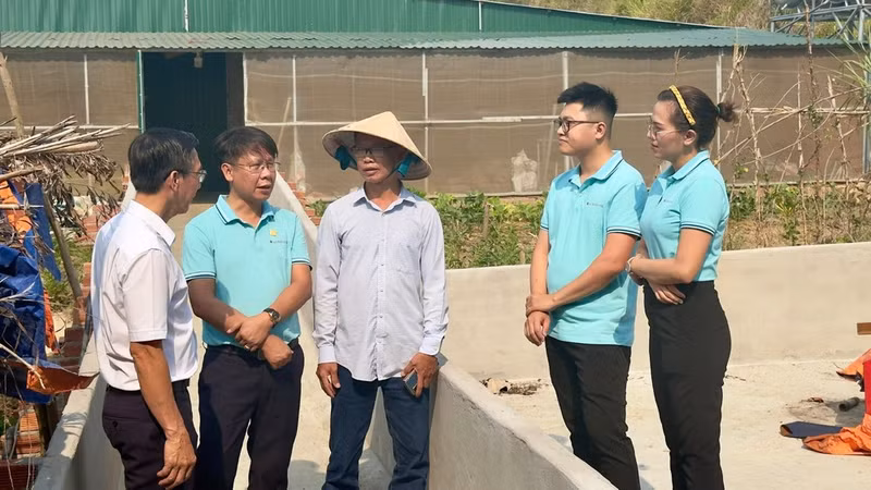 Nguyen Van Anh Tuan (in the hat) speaks with Agribank credit officers about his large-scale livestock farming model.