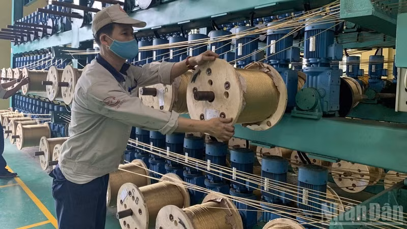 Manufacturing remains one of the key drivers of foreign investment inflows into Viet Nam. 