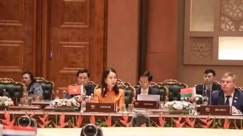 Deputy Foreign Minister Nguyen Minh Hang addresses the expanded Foreign Ministers’ Meeting of BRICS. (Photo: VNA)