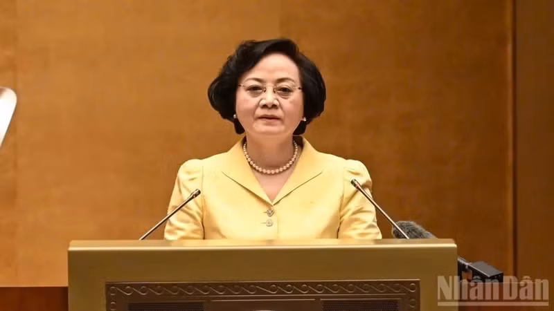 Deputy Prime Minister Pham Thi Thanh Tra. (Photo: TRAN HAI)
