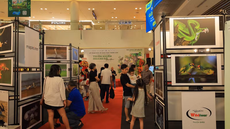 Visitors at the exhibition