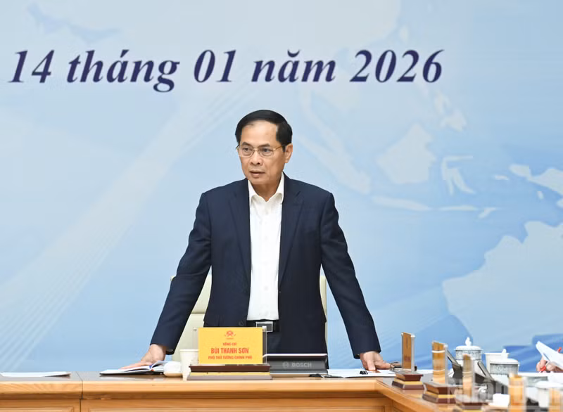 Deputy Prime Minister Bui Thanh Son speaks at the conference.