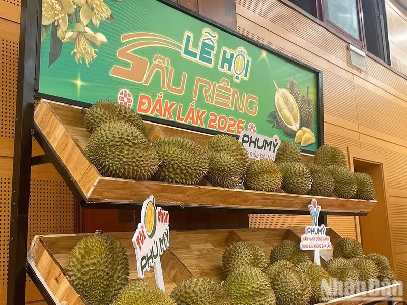 The Dak Lak Durian Festival to take place from August 15 to September 2. (Photo: nhandan.vn)