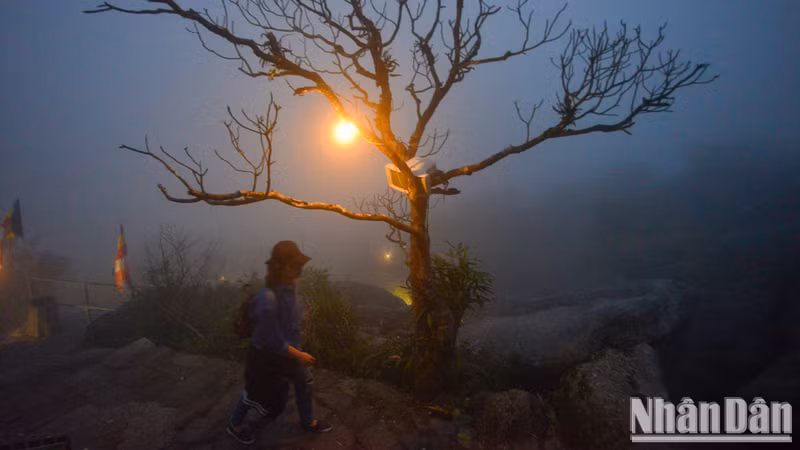 Strengthening safety measures in tourism activities is essential, particularly during this year's storm and rainy season. (Photo: THE DAI)