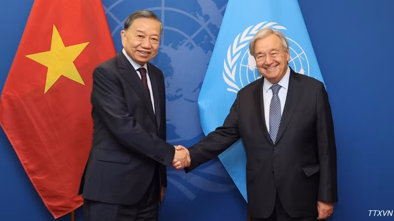 General Secretary of the Communist Party of Viet Nam Central Committee and President To Lam (L) meets with United Nations Secretary-General Antonio Guterres at the UN headquarters on September 23. (Photo: VNA)