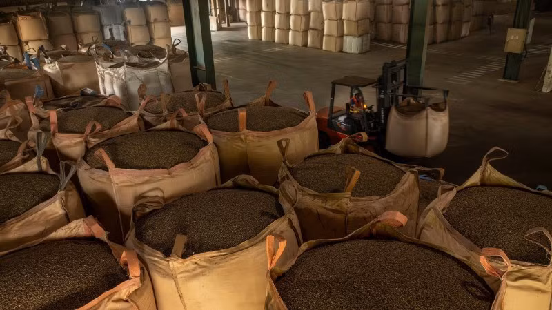 Vietnamese coffee has many opportunities to export to the Thai market. (Photo: NDO)