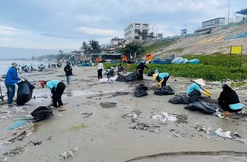 Following the launch ceremony, many activities have been organised in the Cua Lo beach area (Photo: nhandan.vn)