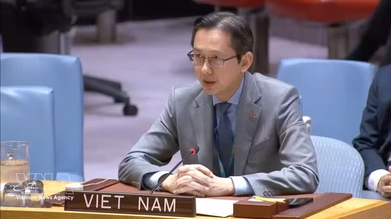 Ambassador Do Hung Viet, Permanent Representative of Viet Nam to the UN, speaks at the discussion. (Photo: VNA)