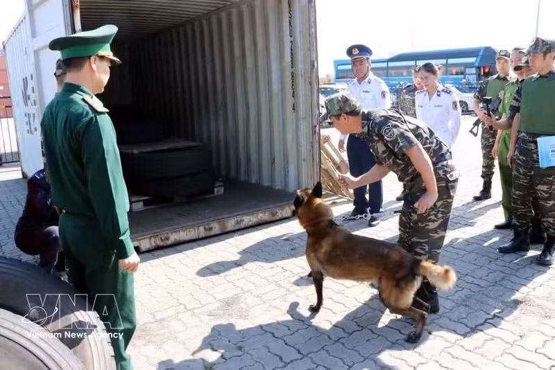 A customs anti-drug exercise demonstrates the use of container scanners, detection dogs, handheld drug-testing devices and specialised equipment to uncover narcotics hidden inside a cargo container. (Photo: VNA)