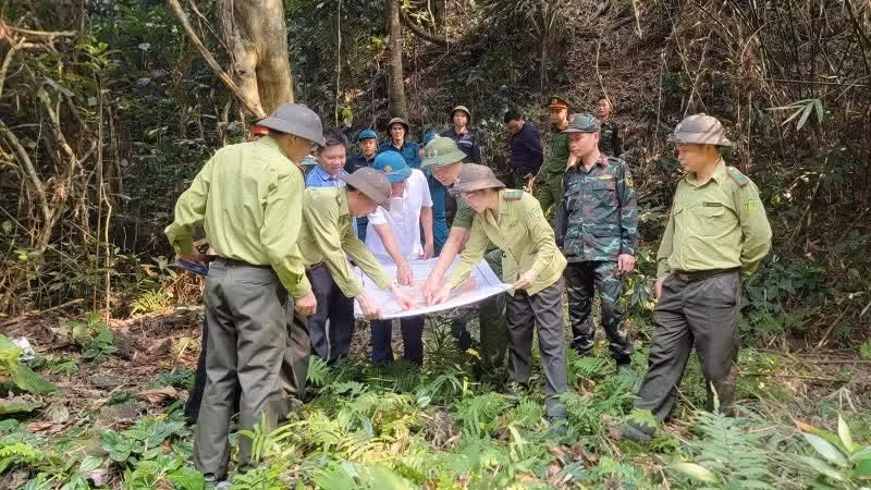 The Forest Protection Unit of Region I in Tuyen Quang Province coordinates with functional forces and local residents to conduct forest patrols and protection.