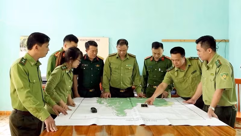 Through software that sends data alerts to forest rangers’ mobile phones, suspected fire points can be detected and handled in a timely manner.