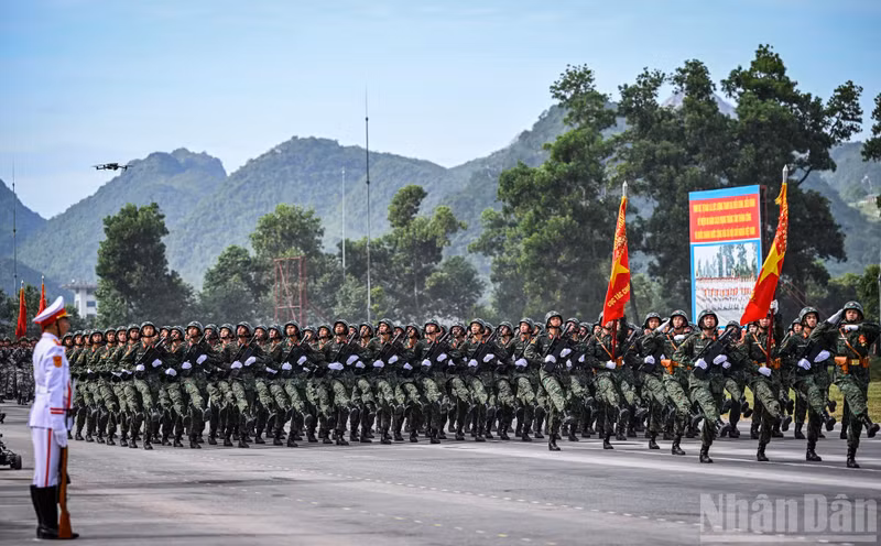 dieu-binh-12.jpg