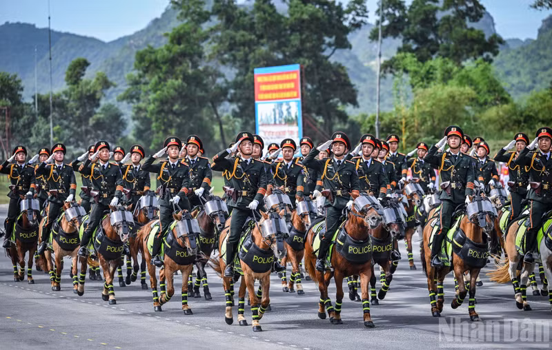 dieu-binh-29.jpg