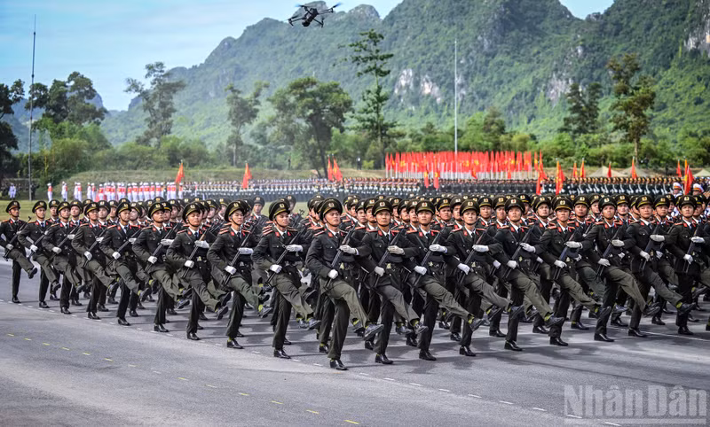 dieu-binh-25.jpg