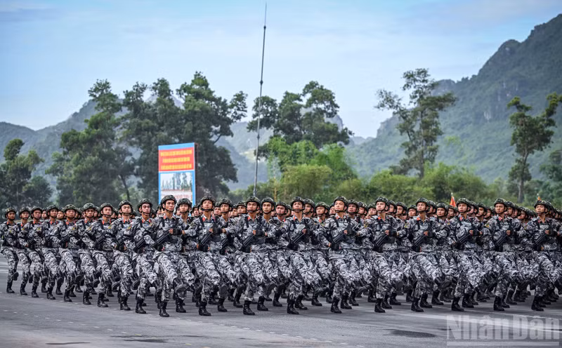 dieu-binh-14.jpg