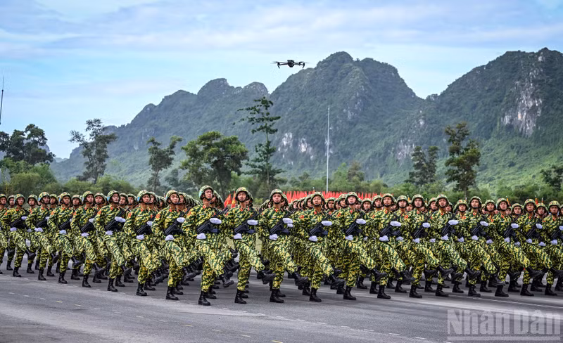 dieu-binh-19.jpg