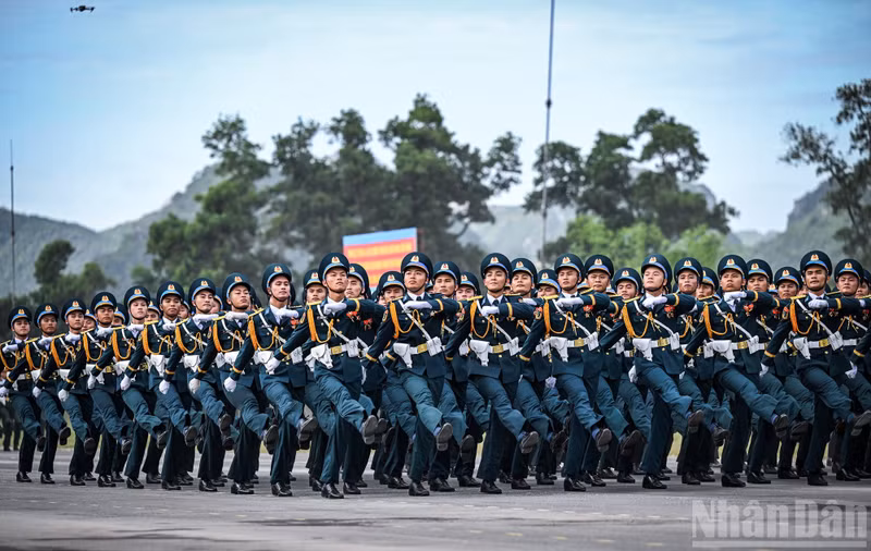 dieu-binh-6.jpg