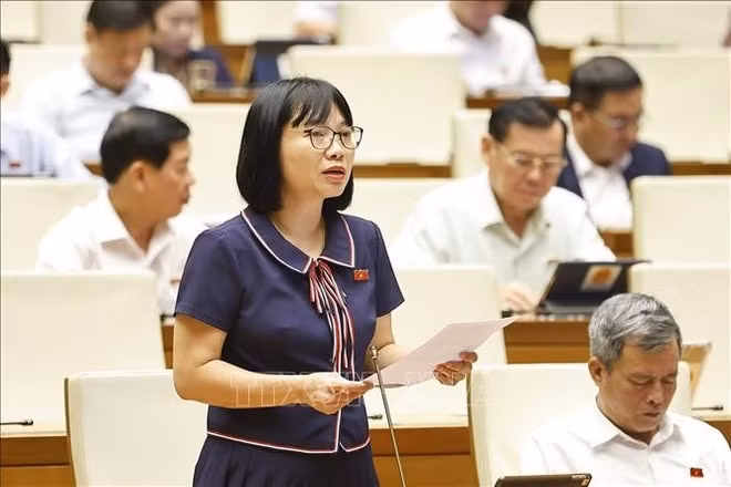 Deputy Nguyen Thi Viet Nga of Hai Duong province speaks at the session. (Photo: VNA)