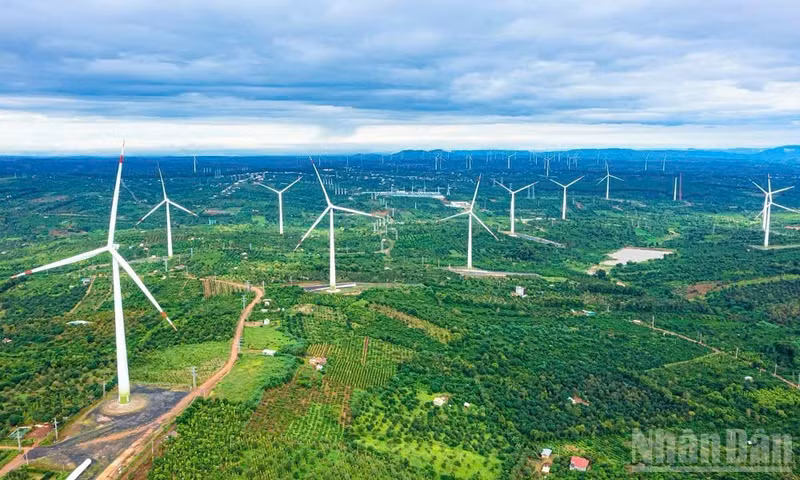 The Eanam Dak Lak Wind Power Plant was brought into operation by Trungnam in 2021. (Photo: HUONG TRA)