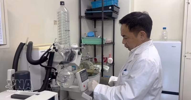 Professor Tran Dang Xuan works in his research laboratory. (Photo: VNA)