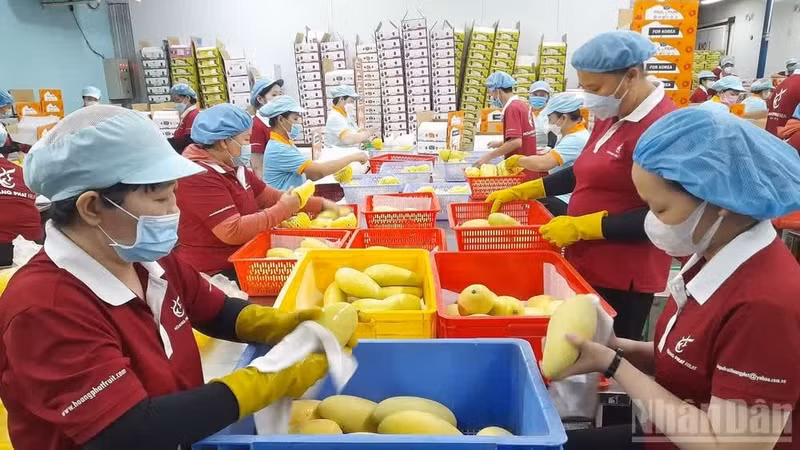 The private sector is “an important driving force of the socialist-oriented market economy”. (Photo: THANH PHONG)