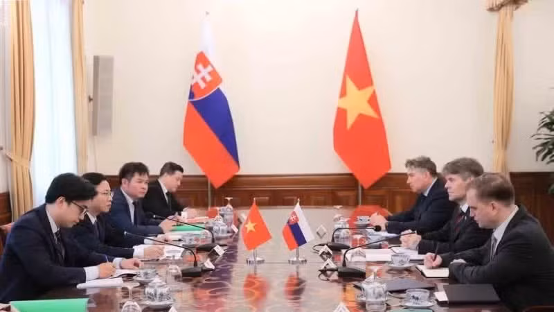 Deputy Minister of Foreign Affairs Ngo Le Van and Secretary of State at the Ministry of Foreign and European Affairs of Slovakia Marek Estok co-chair the political consultation at deputy foreign minister level between Viet Nam and Slovakia. (Photo: An Dang/VNA)