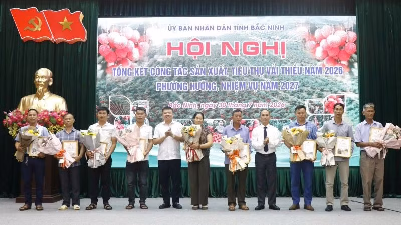 Leaders of the Bac Ninh Provincial People's Committee present certificates recognising outstanding lychee orchards at the 2026 Lychee Production and Consumption Review Conference. (Photo: NDO)