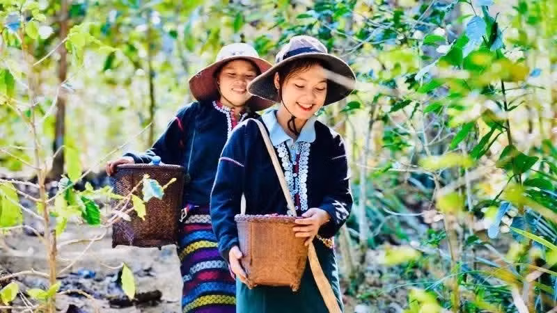 The private sector has advantages in mobilising capital for the green transition and is more proactive in developing initiatives for recycling and cleaner production. (Photo: DUY DONG)