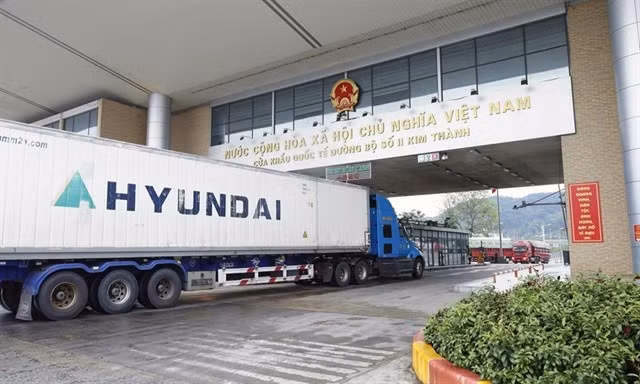 Trucks carrying fresh lychees for export clearing customs at Kim Thanh Road International Border Gate II. (Photo: baobacninhtv.vn)