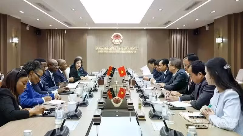 Vietnamese Minister of Agriculture and Environment Trinh Viet Hung holds talks with Angolan Minister of Agriculture and Forestry Isaac Francisco Maria dos Anjos. (Photo: nhandan.vn)
