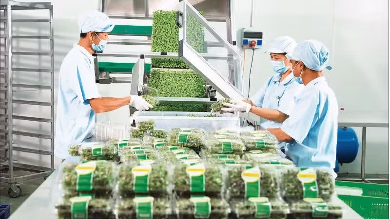 QR-coded fresh vegetables are supplied to Hapro supermarkets.