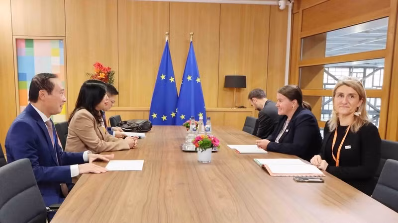 Le Thi Thu Hang, Deputy Minister of Foreign Affairs, meets Veronika Musilova, Foreign Affairs Advisor to the President of the European Council. (Photo: Huong Giang/VNA Correspondent in Belgium)