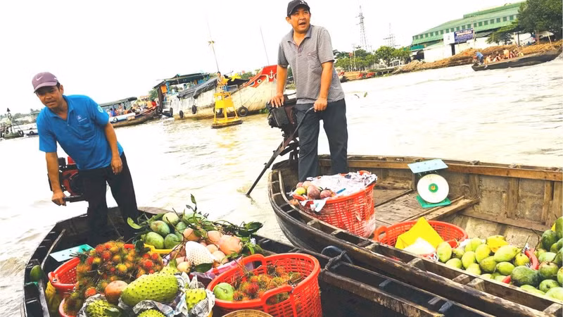 Experiencing a floating market and enjoying regional specialities are among the highlights attracting tourists to Can Tho.