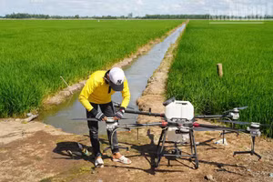 The use of UAVs in agricultural production is among the five priority areas included in Da Nang’s pilot plan. (Photo: Mai Huyen-Thien Phuong)