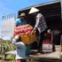 Harvesting dragon fruits in Lam Dong province. The EU is drafting new rules to tighten maximum residue limits for eight pesticide active ingredients for imported fruits from other countries, including Viet Nam. (Photo: VNA)