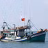 Localities have been demanded to review records of fishing vessels leaving and entering ports, ensuring sufficient and consistent data and clarifying discrepancies between archived records and information on the management system. (Illustrative photo: VNA)