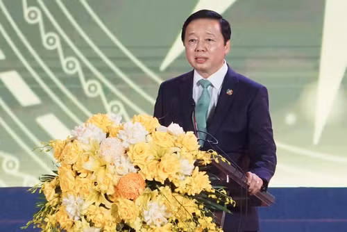 Deputy Prime Minister Tran Hong Ha speaking at the opening ceremony