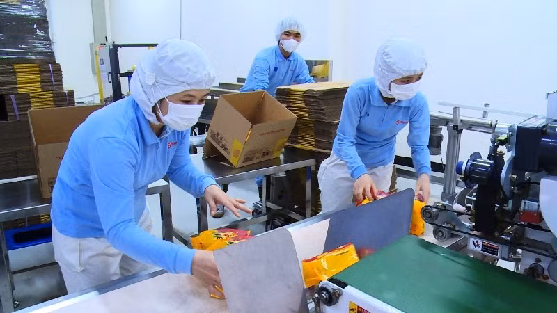 Workers at Orion Vina Food Co., Ltd (My Phuoc 2 Industrial Park, Ben Cat town, Binh Duong province) stay at their factories to work during the complicated developments of COVID-19. Businesses have been applying for interest-free loans to make furlough and salary payments. (Photo: NDO/Trinh Binh)