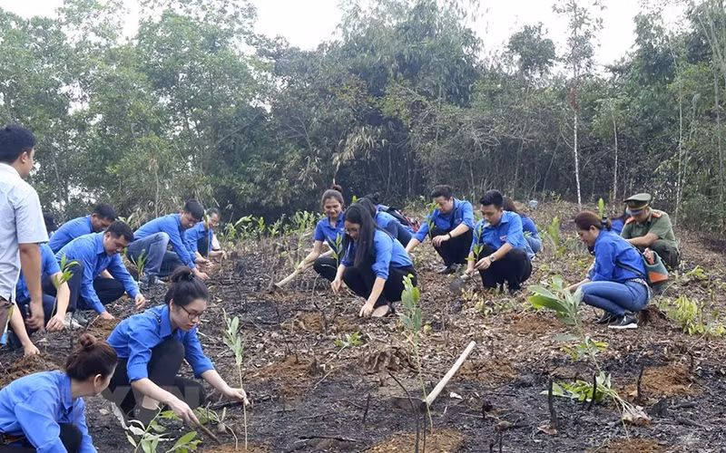 It is necessary to turn the planting of trees into a practical and effective emulation movement, of all levels and sectors, with the active participation of all people. 