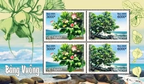 The Bang Vuong stamp set 