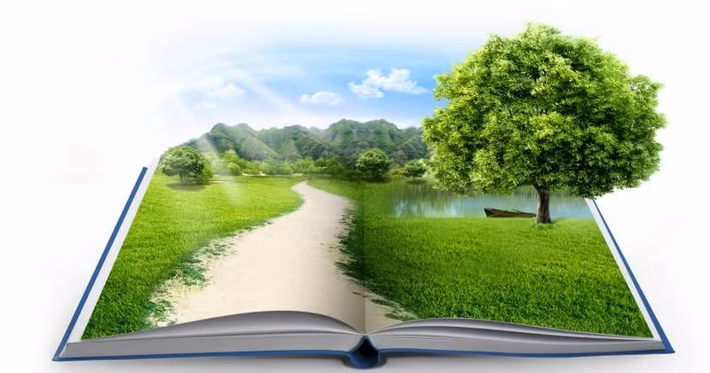 The environmental issue is currently the number one global challenge.