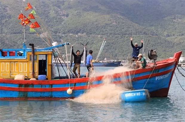 Fishermen in Hoa Xuan Nam commune, Dong Hoa town, Phu Yen province, pose for a photo with fish caught during their New Year trip. (Photo: VNA)