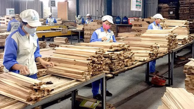 The total export revenue of wood and other forestry products reaches 15.87 billion USD in 2021, exceeding 20% of the year’s plan (Illustrative image)