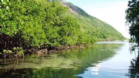 Con Dao National Park