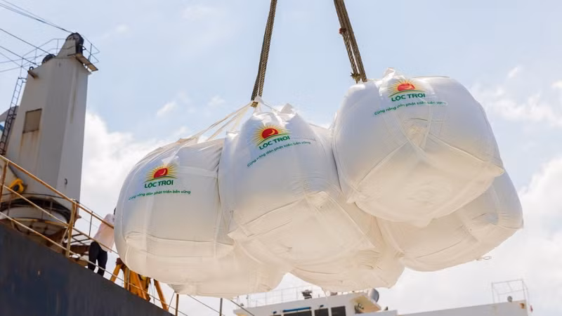 The price of Vietnamese rice has continuously stood at a high level. 