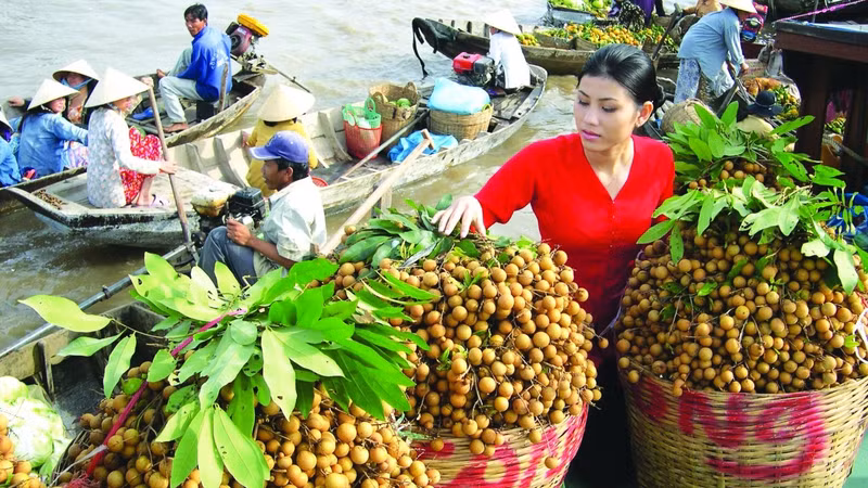 Vietnamese longan has characteristic aroma, small seeds and sweetness. (Illustrative image)